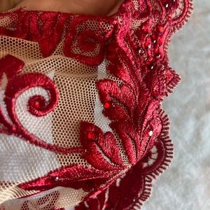 Red Unlined Sensuous Lace Bra